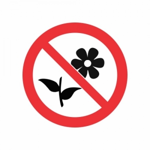 Cấm hái hoa